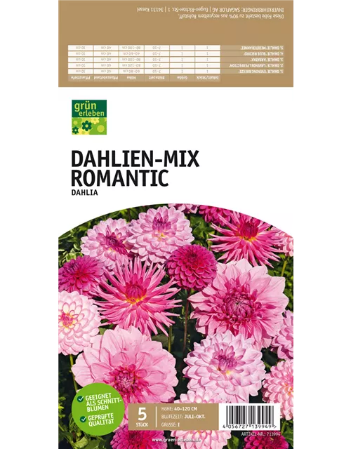 Dahlien-Mix Romantic