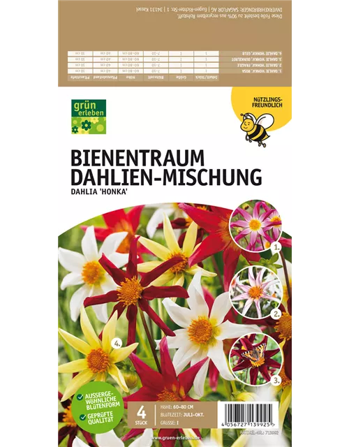 Bienentraum Dahlien-Mischung