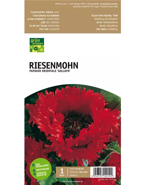 Riesenmohn