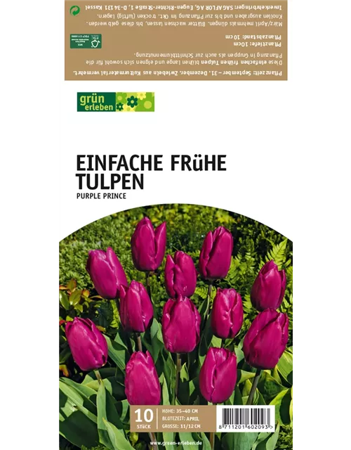 Einfache frühe Tulpen