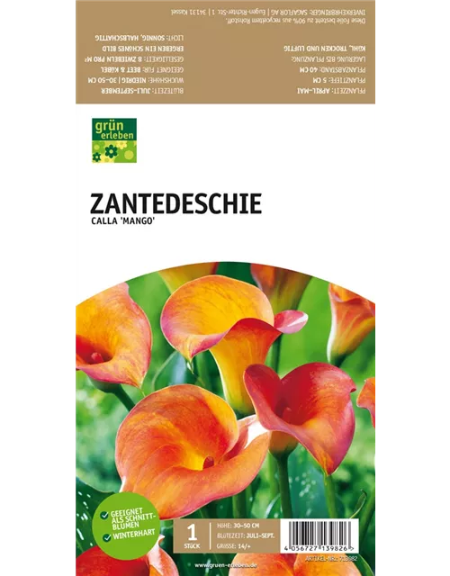 Zantedeschie