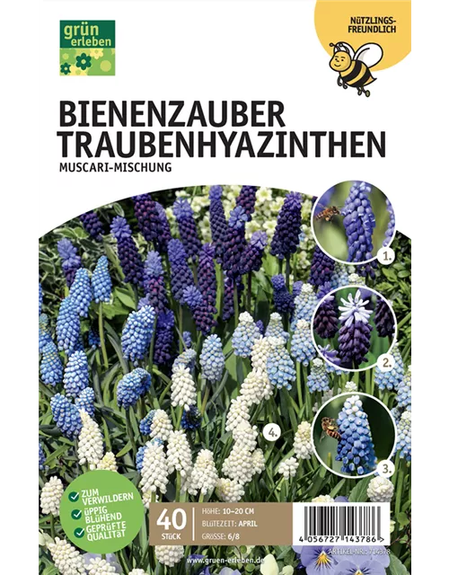 Muscari Mischung