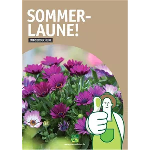 SOMMERLAUNE!